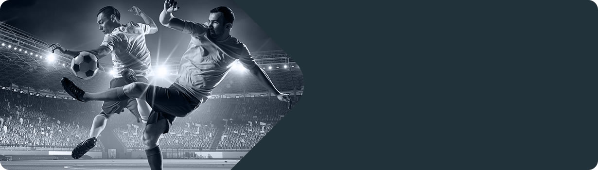 sudoku swordfish explained
